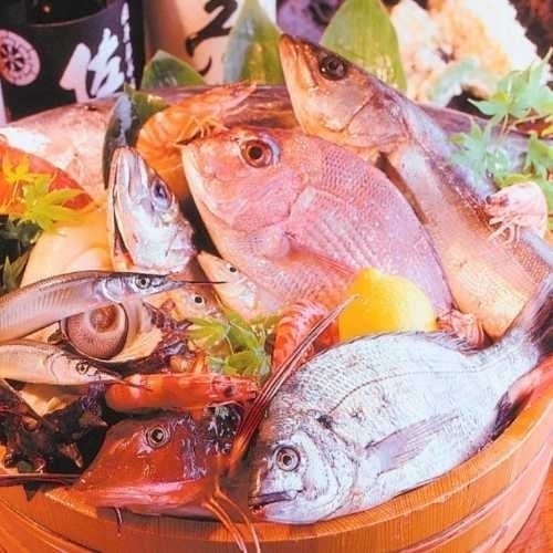 浜松おいしい刺身
